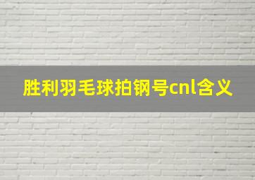 胜利羽毛球拍钢号cnl含义