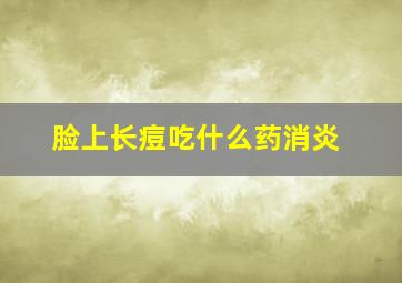 脸上长痘吃什么药消炎