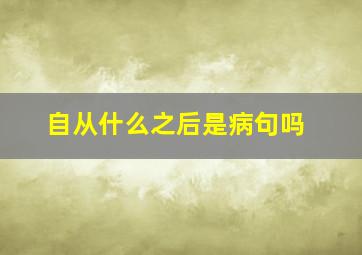 自从什么之后是病句吗