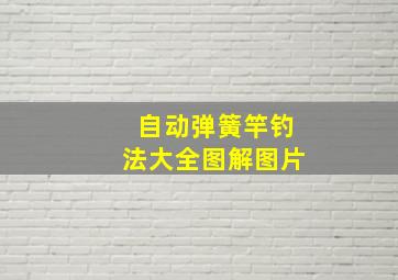 自动弹簧竿钓法大全图解图片