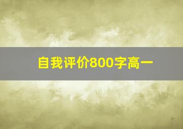 自我评价800字高一