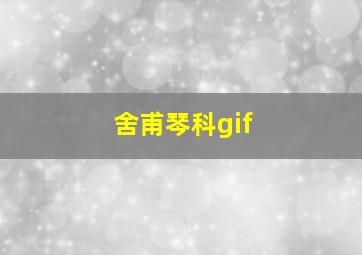 舍甫琴科gif