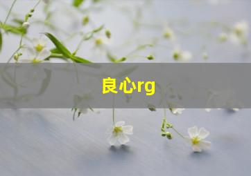 良心rg