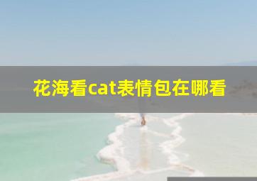 花海看cat表情包在哪看