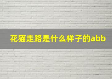 花猫走路是什么样子的abb