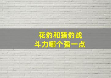 花豹和猎豹战斗力哪个强一点