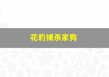 花豹捕杀家狗