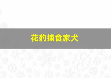 花豹捕食家犬