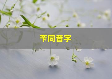 苄同音字