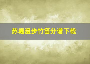 苏堤漫步竹笛分谱下载