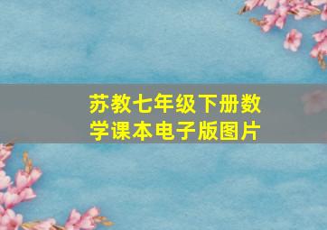 苏教七年级下册数学课本电子版图片