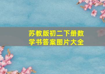 苏教版初二下册数学书答案图片大全