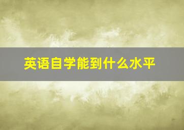 英语自学能到什么水平