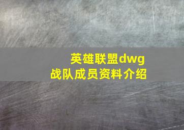 英雄联盟dwg战队成员资料介绍