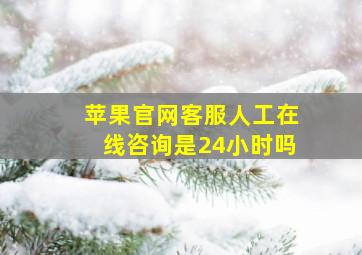 苹果官网客服人工在线咨询是24小时吗