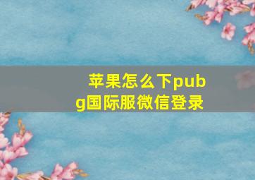 苹果怎么下pubg国际服微信登录