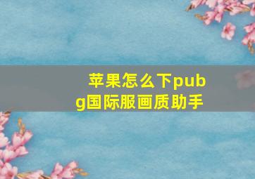 苹果怎么下pubg国际服画质助手