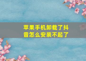 苹果手机卸载了抖音怎么安装不起了