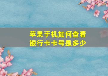 苹果手机如何查看银行卡卡号是多少