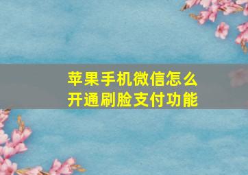 苹果手机微信怎么开通刷脸支付功能