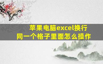 苹果电脑excel换行同一个格子里面怎么操作