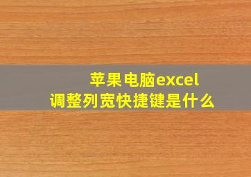 苹果电脑excel调整列宽快捷键是什么