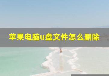 苹果电脑u盘文件怎么删除