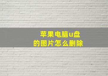 苹果电脑u盘的图片怎么删除