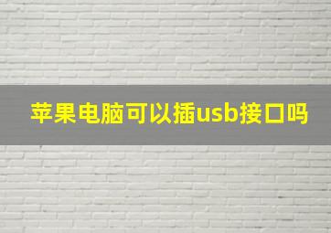 苹果电脑可以插usb接口吗