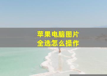 苹果电脑图片全选怎么操作