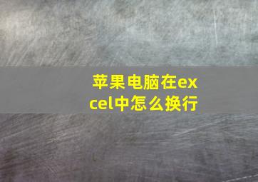 苹果电脑在excel中怎么换行