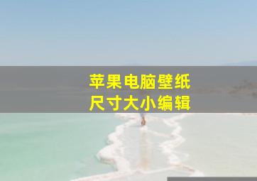 苹果电脑壁纸尺寸大小编辑