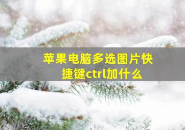 苹果电脑多选图片快捷键ctrl加什么