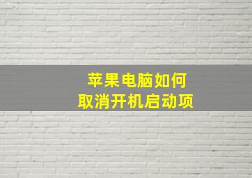 苹果电脑如何取消开机启动项