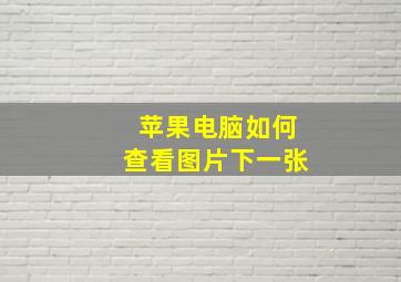 苹果电脑如何查看图片下一张