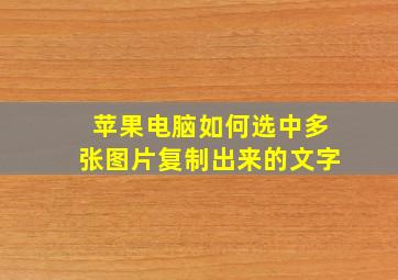 苹果电脑如何选中多张图片复制出来的文字