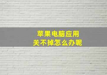 苹果电脑应用关不掉怎么办呢