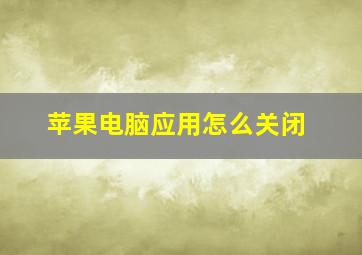 苹果电脑应用怎么关闭