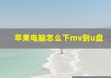 苹果电脑怎么下mv到u盘