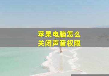 苹果电脑怎么关闭声音权限