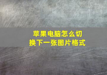 苹果电脑怎么切换下一张图片格式