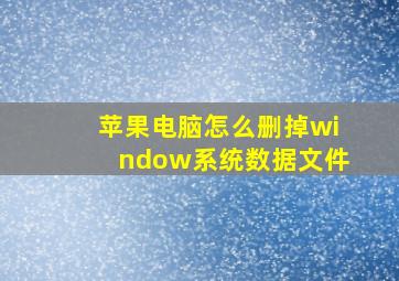 苹果电脑怎么删掉window系统数据文件