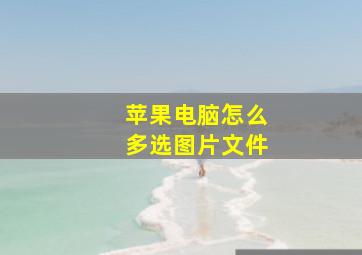 苹果电脑怎么多选图片文件