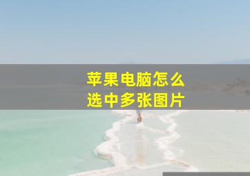 苹果电脑怎么选中多张图片