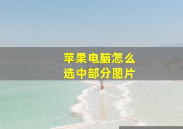 苹果电脑怎么选中部分图片