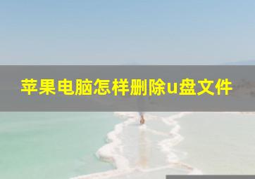 苹果电脑怎样删除u盘文件