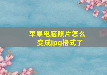 苹果电脑照片怎么变成jpg格式了