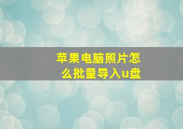 苹果电脑照片怎么批量导入u盘