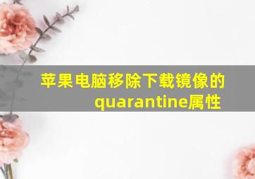 苹果电脑移除下载镜像的quarantine属性