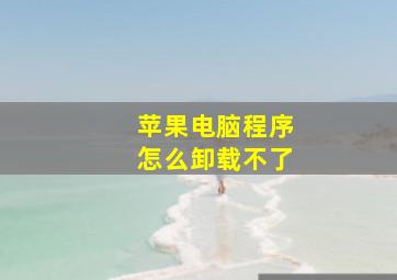 苹果电脑程序怎么卸载不了